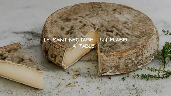 fromage saint-nectaire
