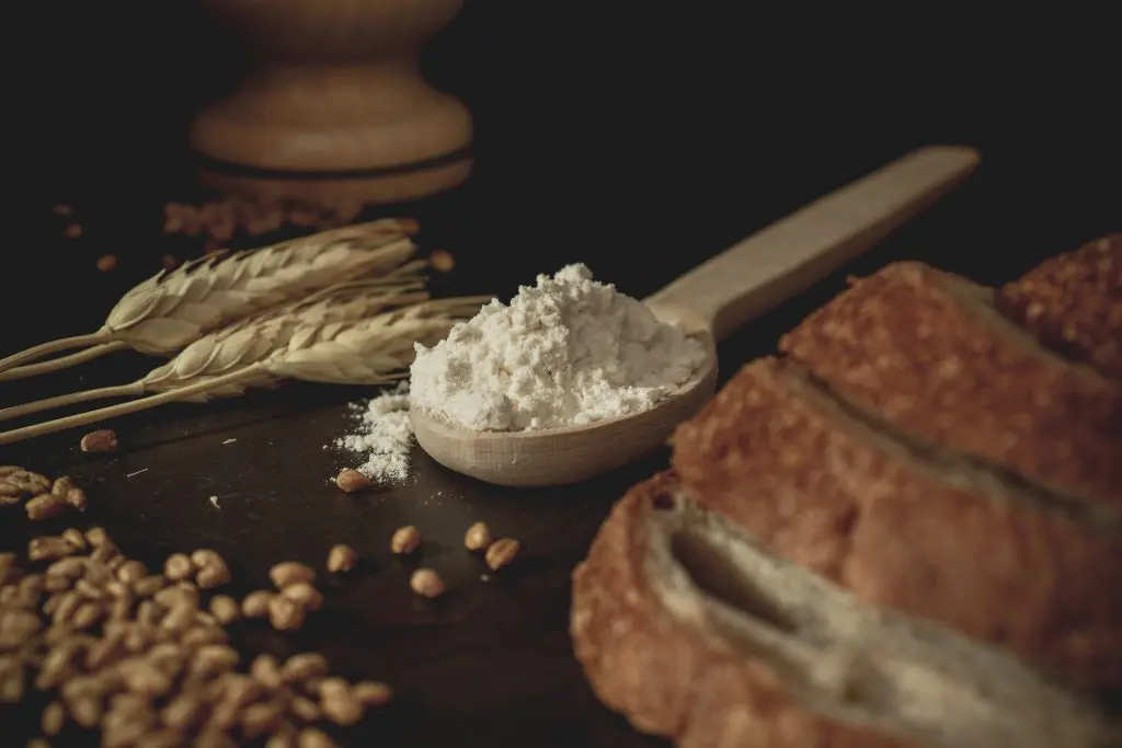 gluten