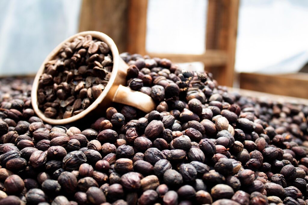 blog café