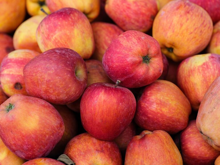Fabricant de jus de pommes : du verger au verre, l’excellence française