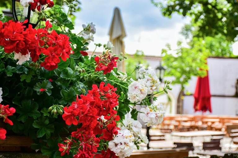 brasserie tournus