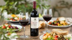vin bio rouge