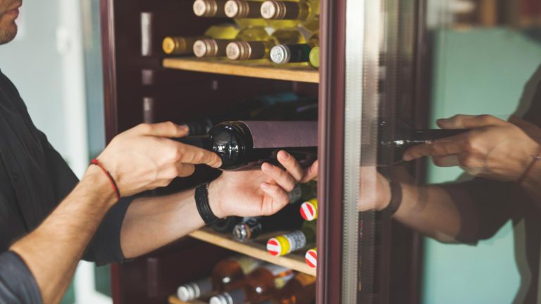Quelle cave à vin choisir pour conserver ses bouteilles sans disposer d'une cave naturelle ?